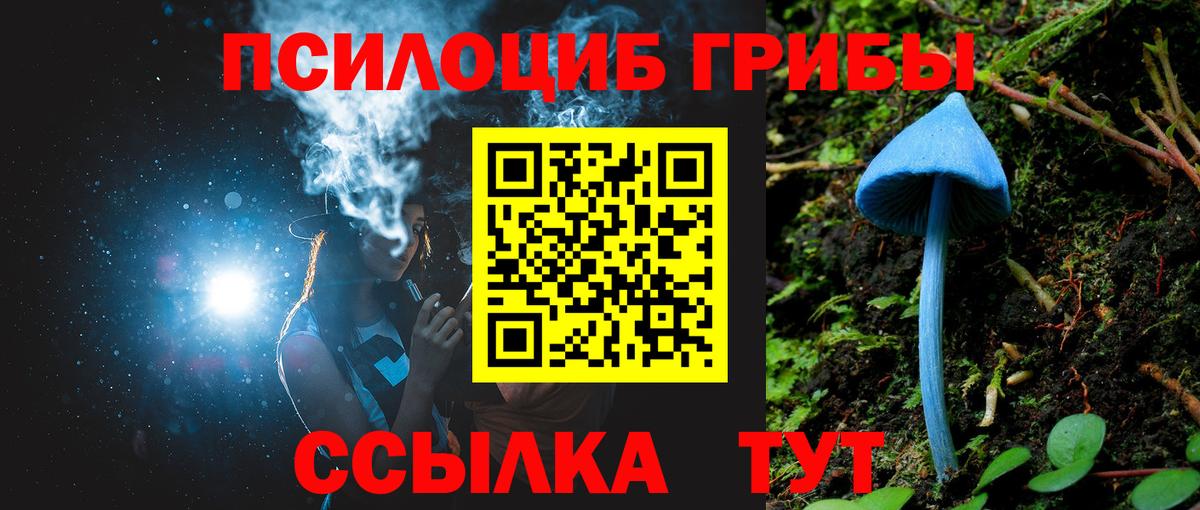 Зерноград  Псилоцибиновые грибы MAGIC MUSHROOMS  Вход с VPN  Псилоцибиновые грибы мухоморы 